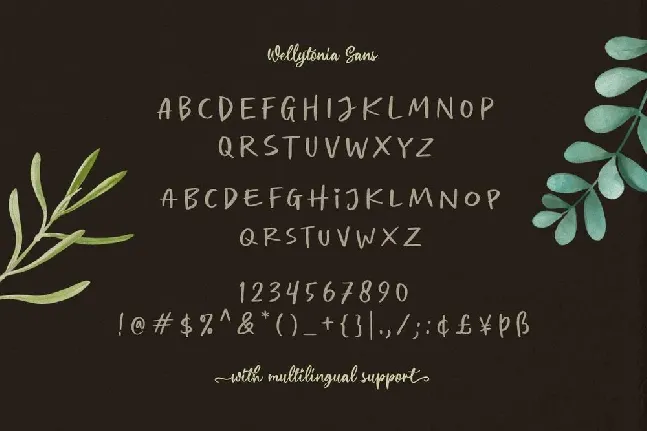 Wellytonia Package font