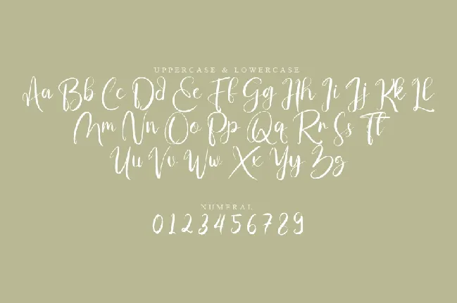 Mefig font