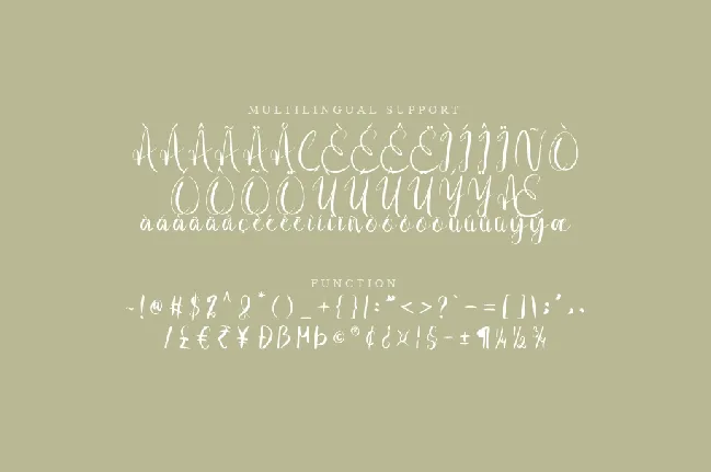 Mefig font