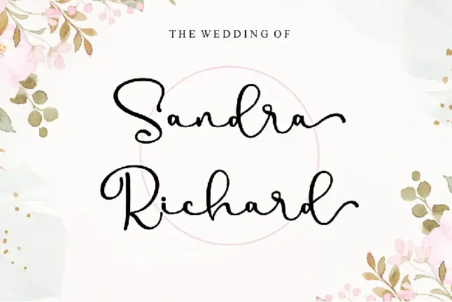 Sarlita - Personal Use font