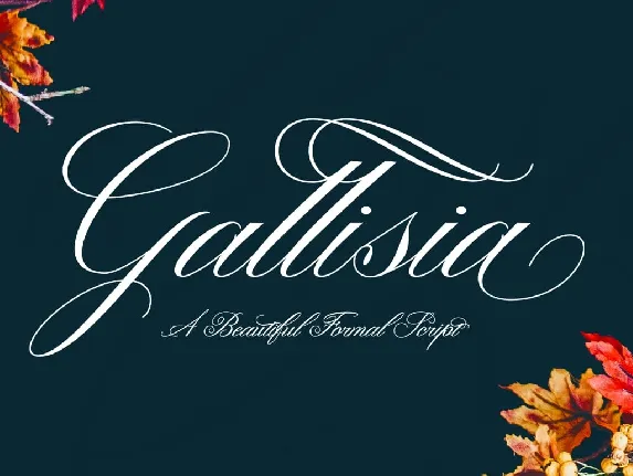 Gallisia font