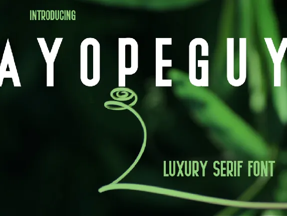 AYOPEGUY font