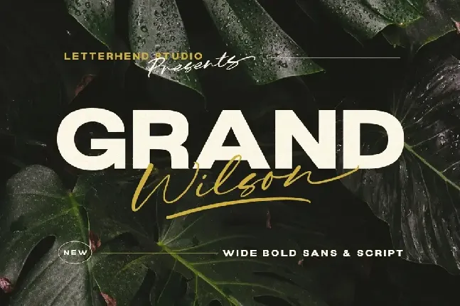 Grand Wilson font