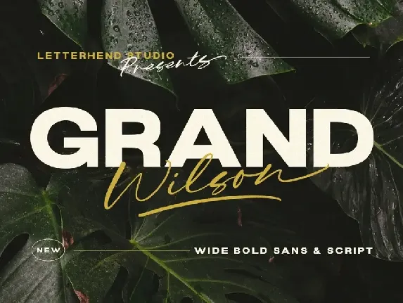 Grand Wilson font