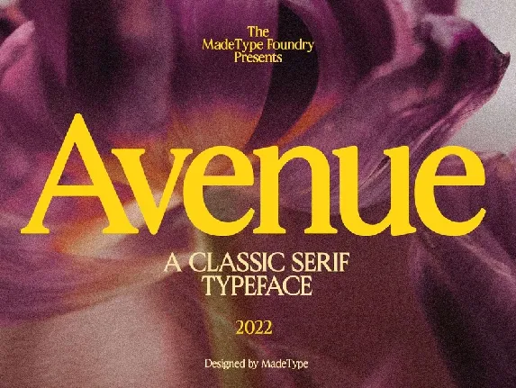 Avenue font