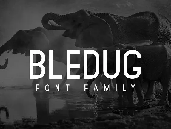 Bledug Family font