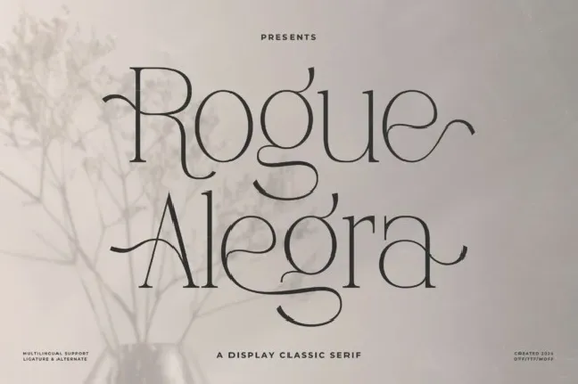 Rogue Alegra font