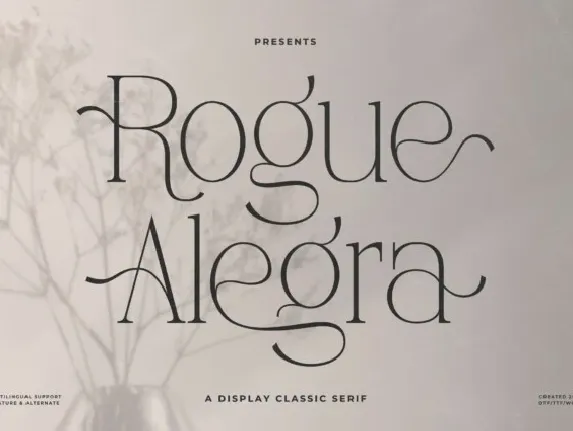 Rogue Alegra font