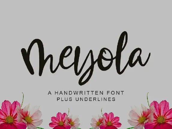 Meyola font