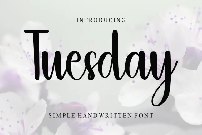 Tuesday font