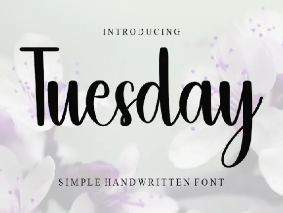 Tuesday font