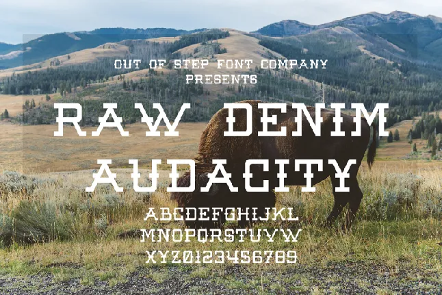 Raw Denim Audacity font