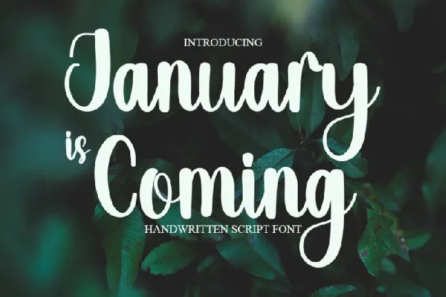 January Is Coming font