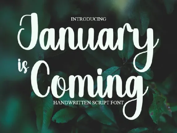 January Is Coming font