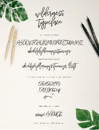 Wilderness Brush Free font