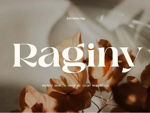 Raginy font