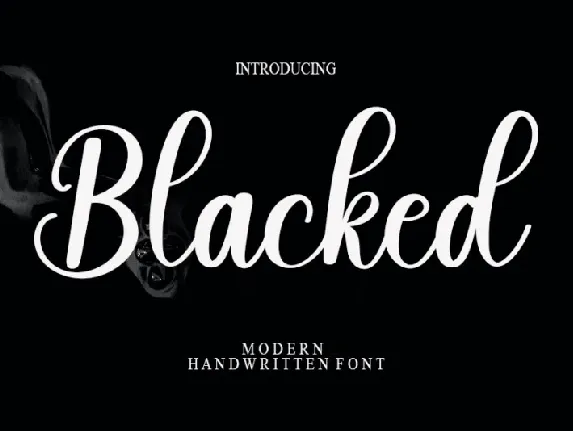 Blacked Typeface font