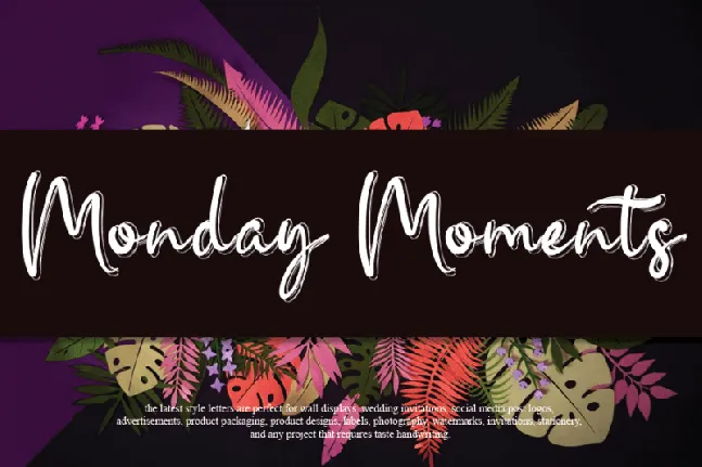 Monday Moments Script font