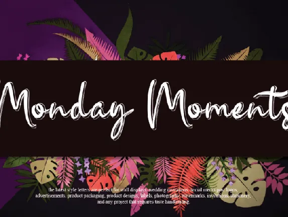 Monday Moments Script font