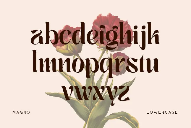 Magno font