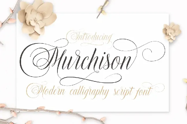 Murchison Script font