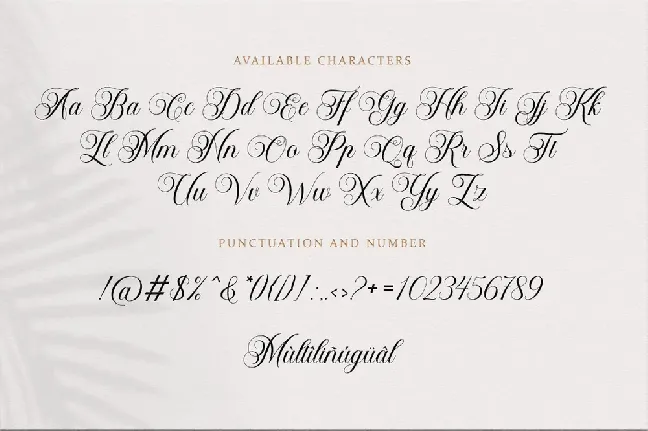 Bailenson font