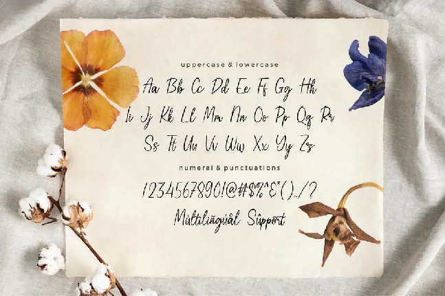 Peachbeary font