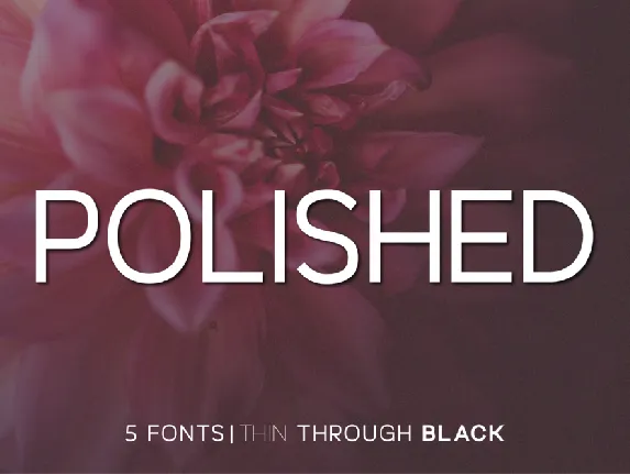 Polished font