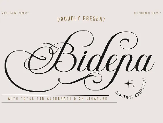 Bidena trial font