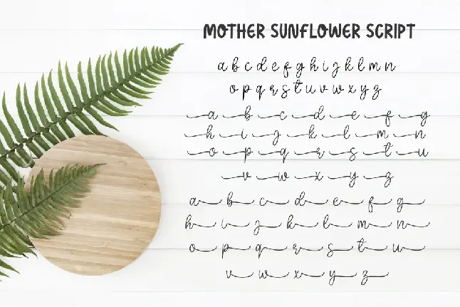 Mother Sunflower font