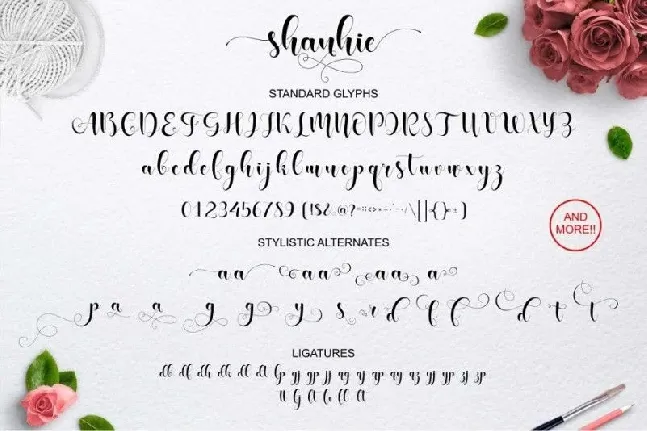 Shanhie Script font