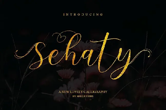 Sehaty Script font