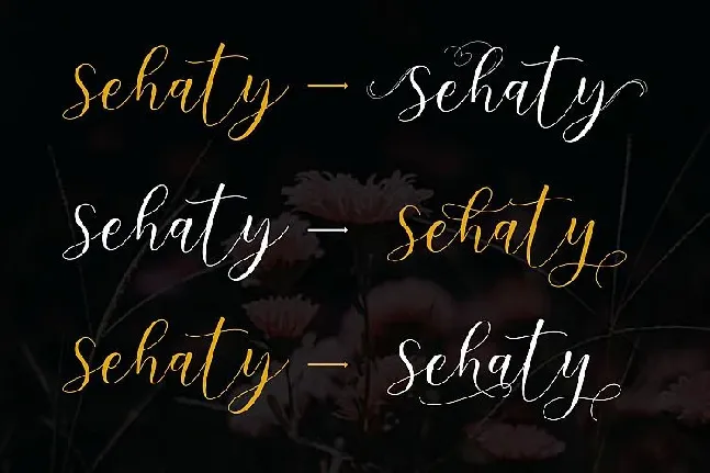 Sehaty Script font