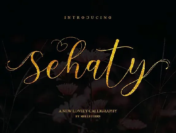 Sehaty Script font