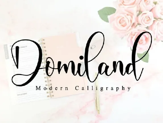 Domiland Script font