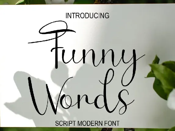 Funny Words font