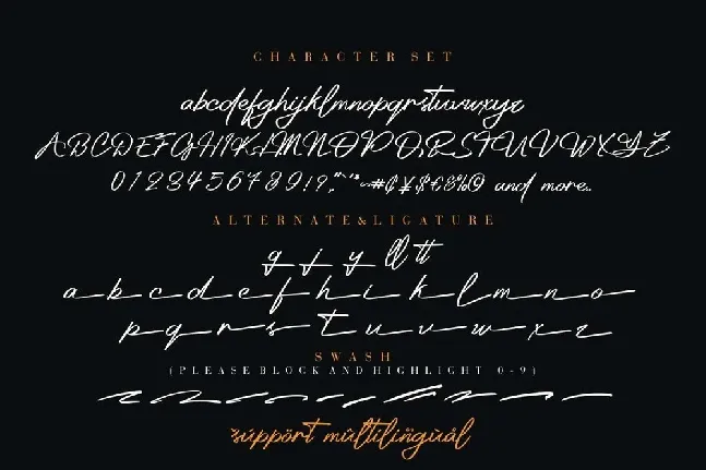 Platinum Signature font