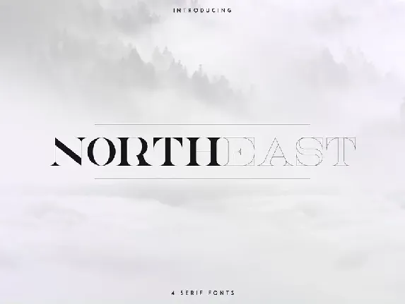 NorthEast Serif font