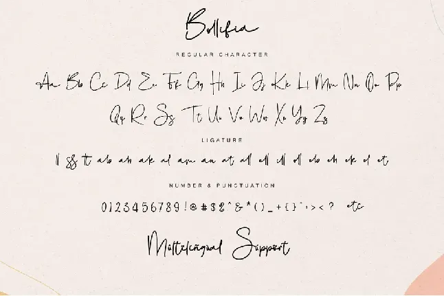 Bollifia - Personal use font