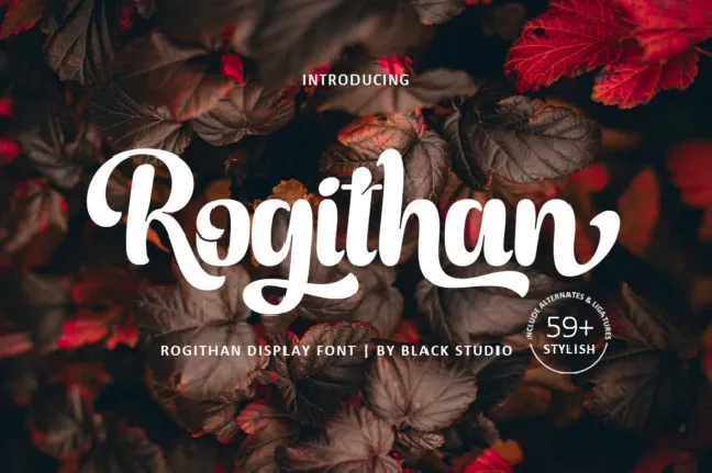 Rogithan Script font