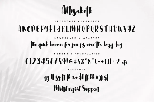 Allisabeth - Personal use font