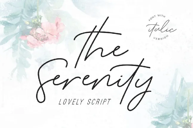 DS Serenity DEMO font