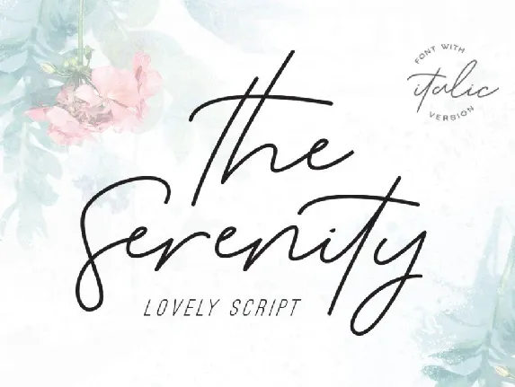 DS Serenity DEMO font