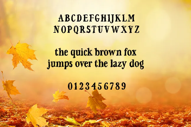 Falling For Autumn font