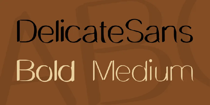 DelicateSans font