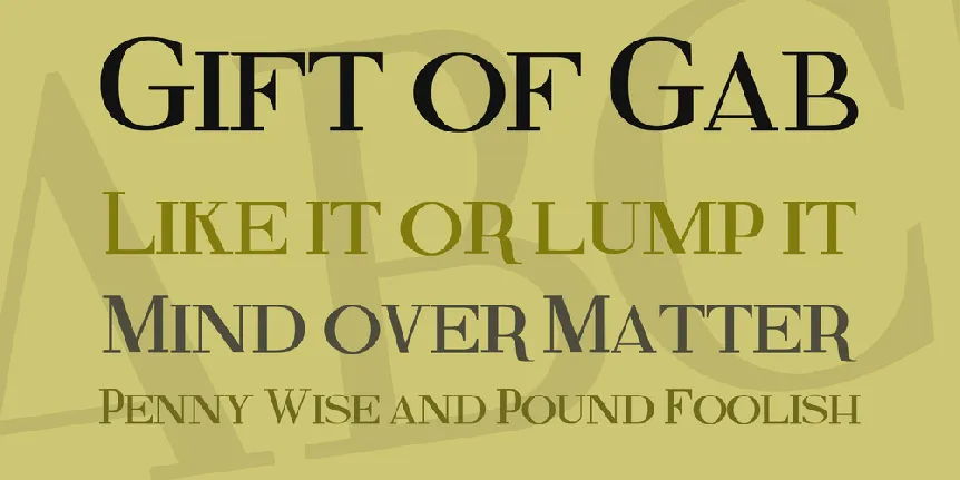 Fine Serif font