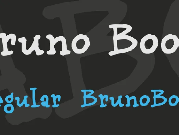 bruno Book font