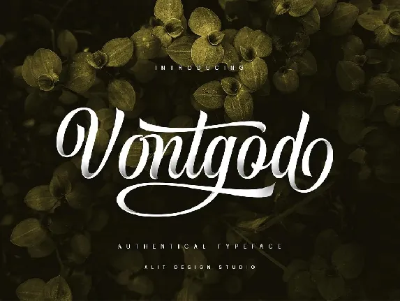 Vontgod font