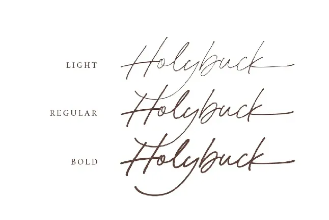 Holybuck font