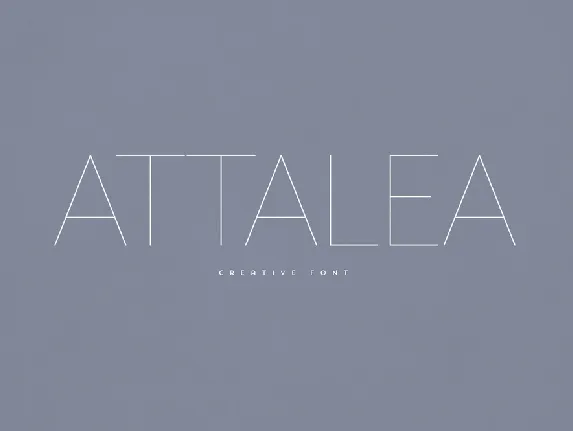 Attalea font